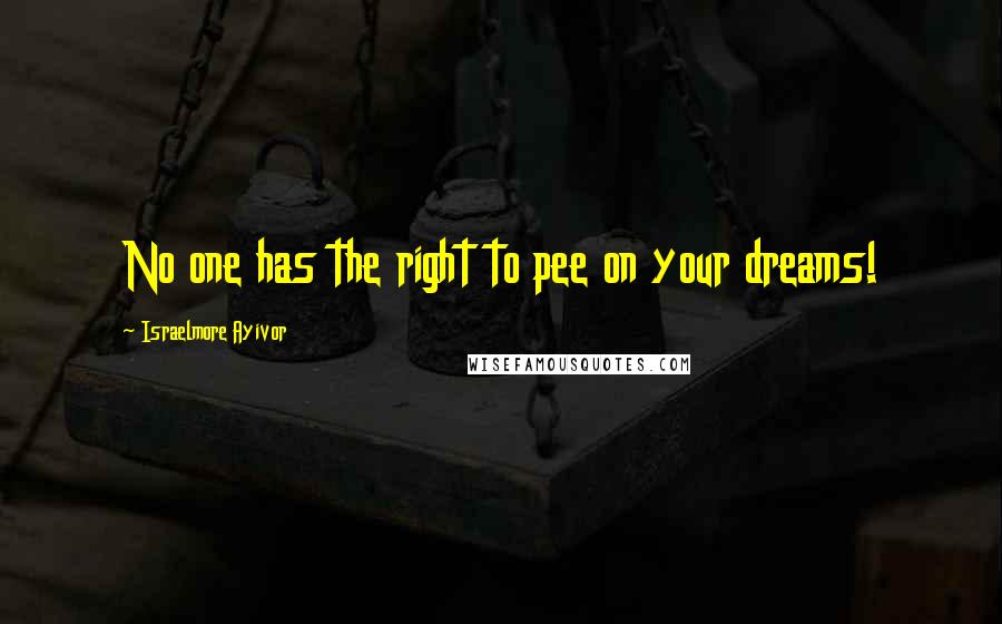 Israelmore Ayivor Quotes: No one has the right to pee on your dreams!