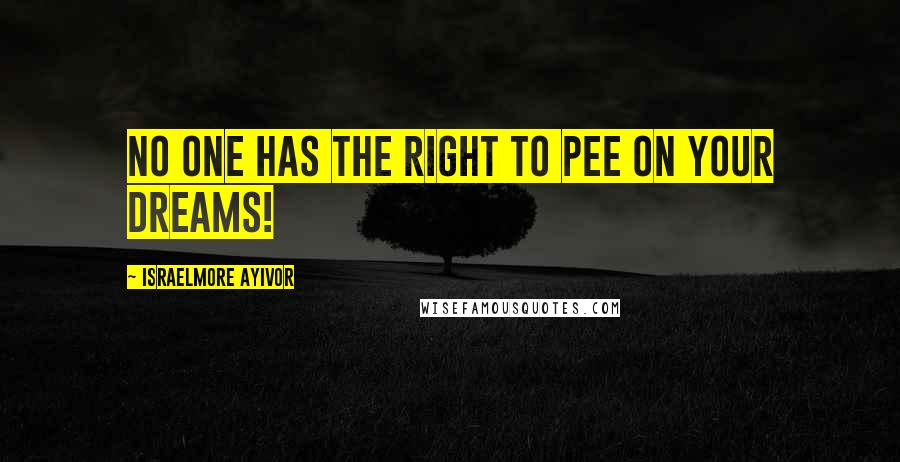 Israelmore Ayivor Quotes: No one has the right to pee on your dreams!