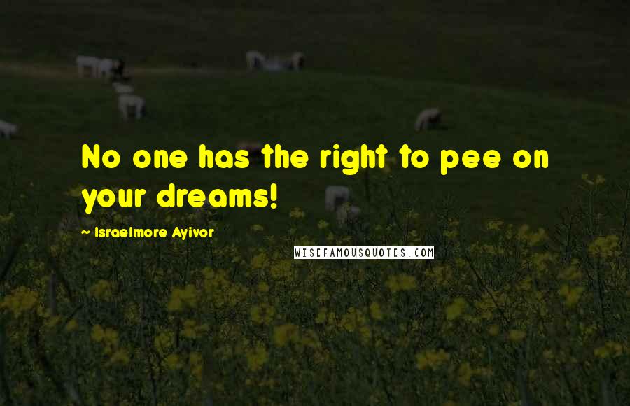 Israelmore Ayivor Quotes: No one has the right to pee on your dreams!