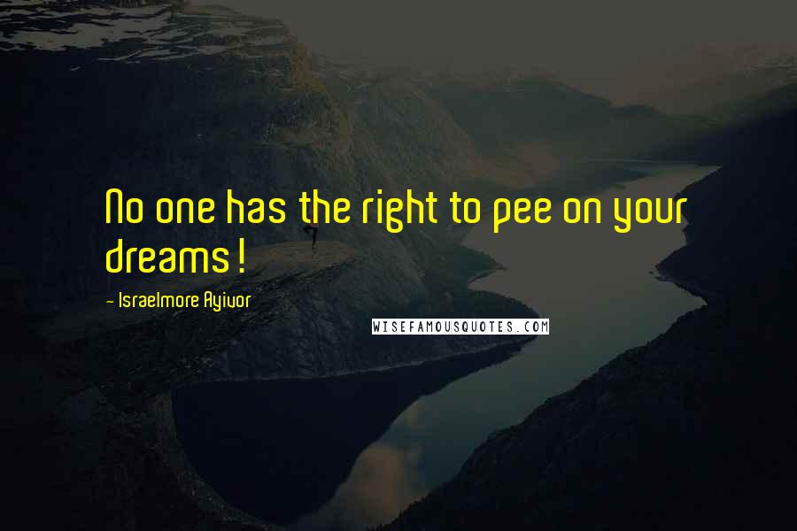 Israelmore Ayivor Quotes: No one has the right to pee on your dreams!