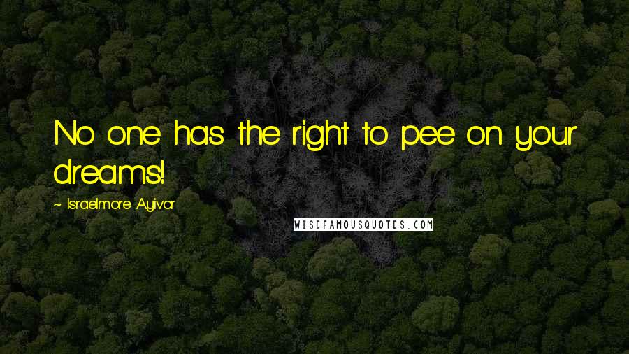 Israelmore Ayivor Quotes: No one has the right to pee on your dreams!