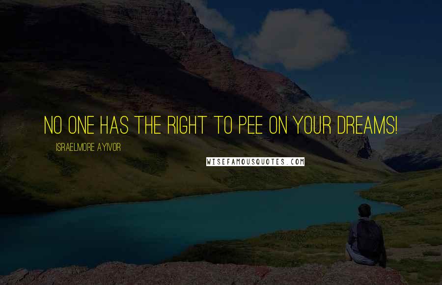 Israelmore Ayivor Quotes: No one has the right to pee on your dreams!