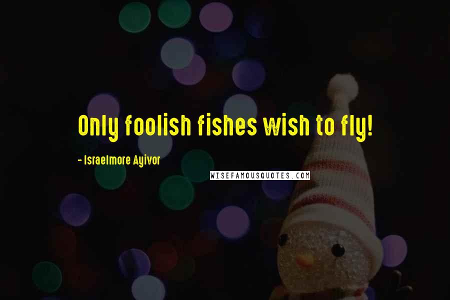 Israelmore Ayivor Quotes: Only foolish fishes wish to fly!