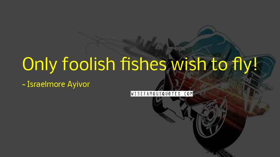 Israelmore Ayivor Quotes: Only foolish fishes wish to fly!