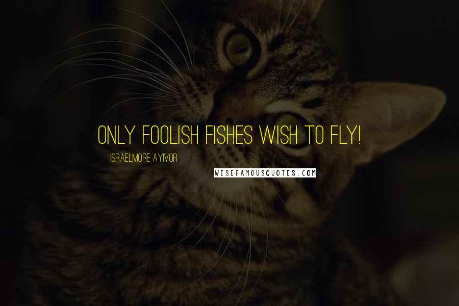 Israelmore Ayivor Quotes: Only foolish fishes wish to fly!