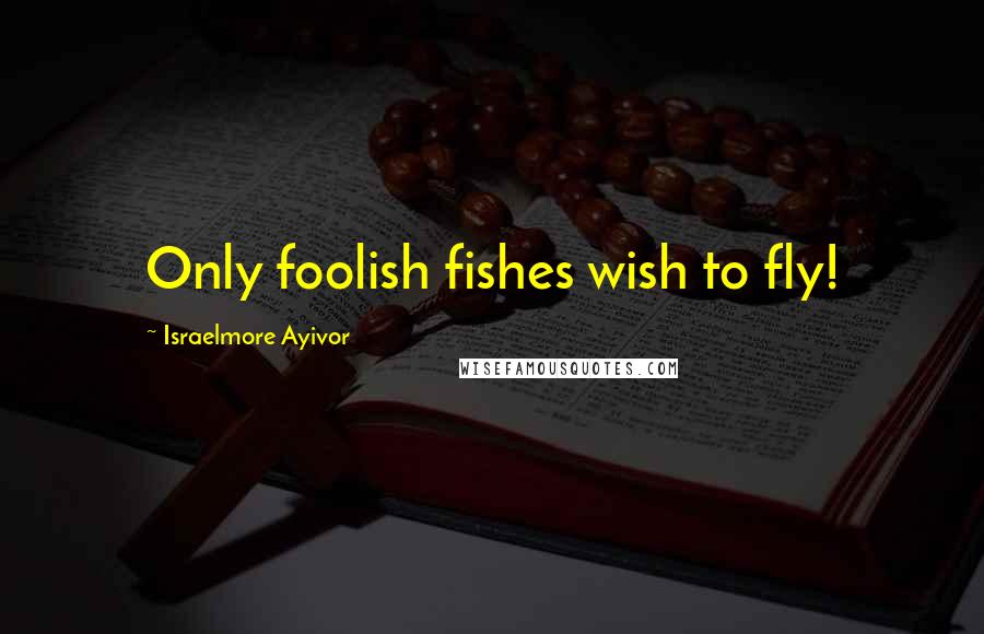 Israelmore Ayivor Quotes: Only foolish fishes wish to fly!