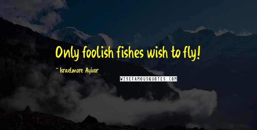 Israelmore Ayivor Quotes: Only foolish fishes wish to fly!