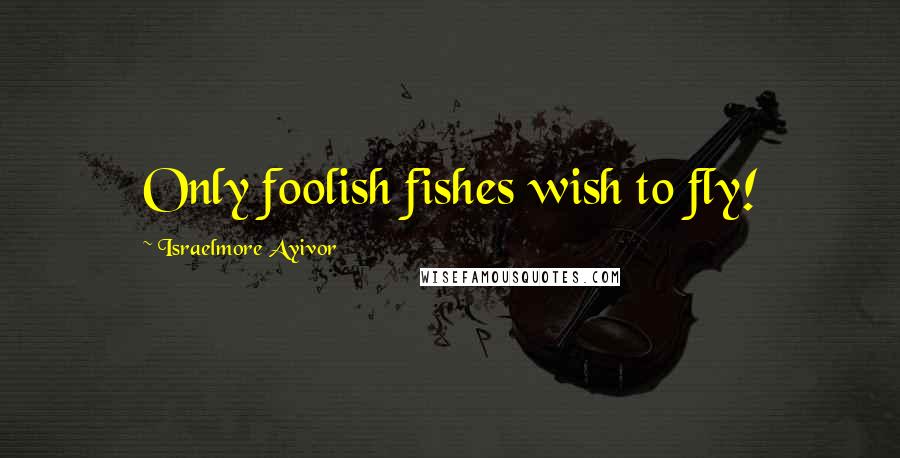 Israelmore Ayivor Quotes: Only foolish fishes wish to fly!