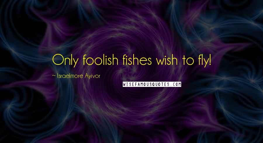 Israelmore Ayivor Quotes: Only foolish fishes wish to fly!
