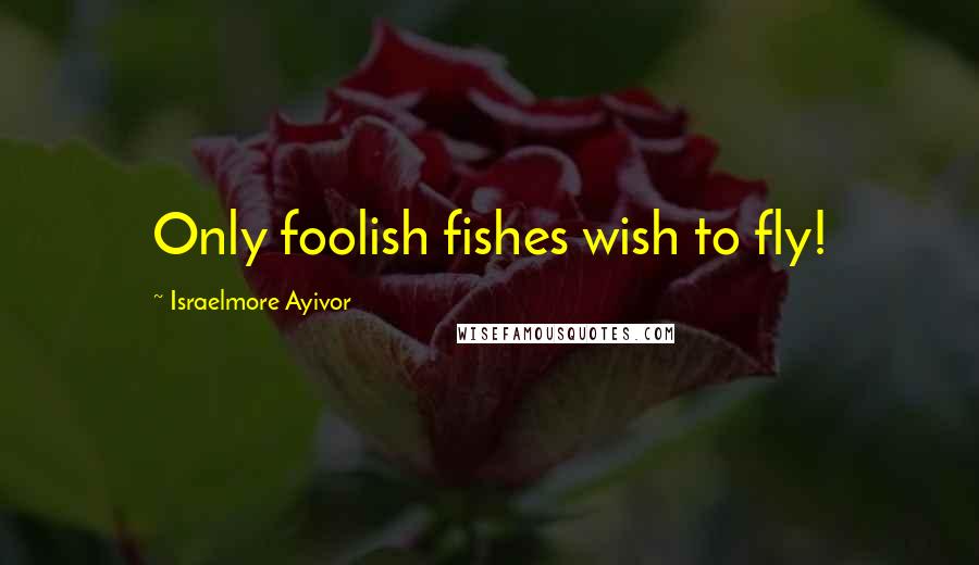 Israelmore Ayivor Quotes: Only foolish fishes wish to fly!
