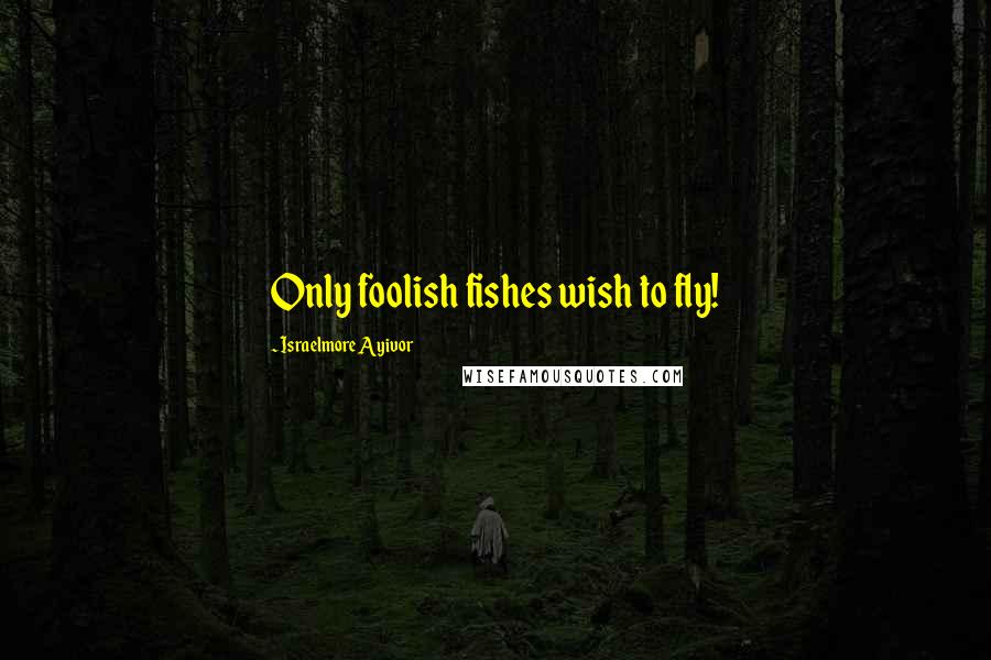 Israelmore Ayivor Quotes: Only foolish fishes wish to fly!