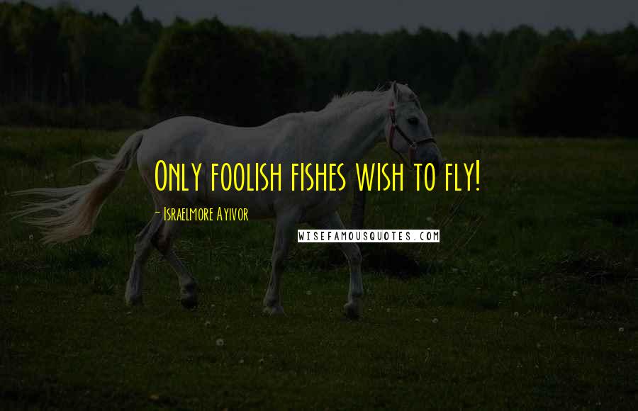 Israelmore Ayivor Quotes: Only foolish fishes wish to fly!