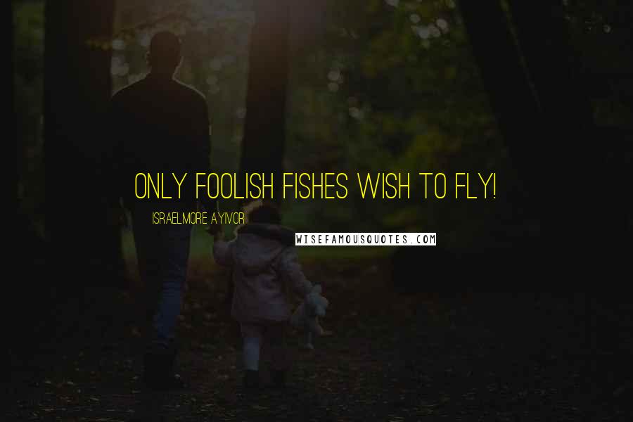 Israelmore Ayivor Quotes: Only foolish fishes wish to fly!