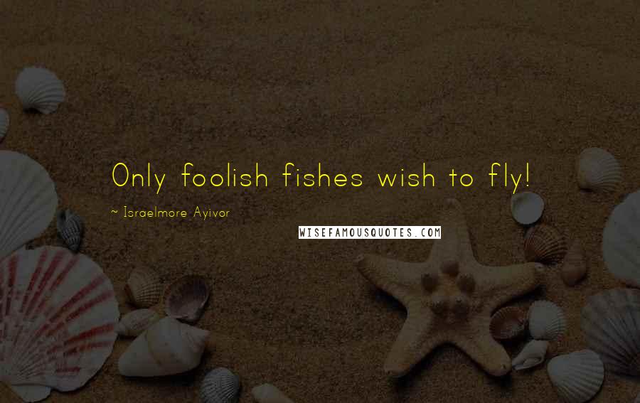 Israelmore Ayivor Quotes: Only foolish fishes wish to fly!