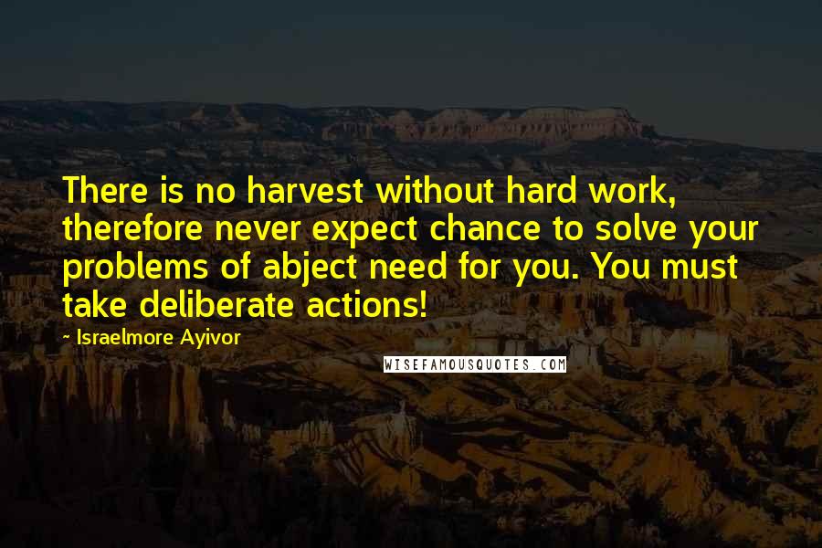 Israelmore Ayivor Quotes: There is no harvest without hard work, therefore never expect chance to solve your problems of abject need for you. You must take deliberate actions!