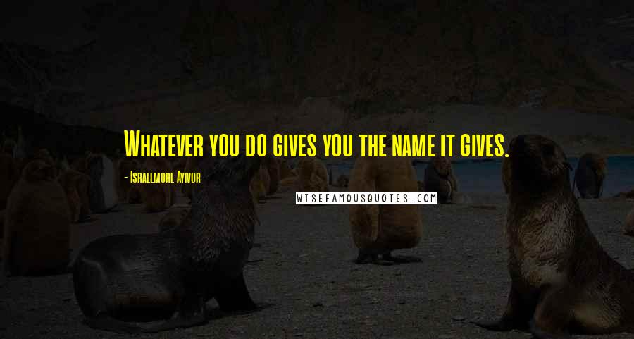 Israelmore Ayivor Quotes: Whatever you do gives you the name it gives.