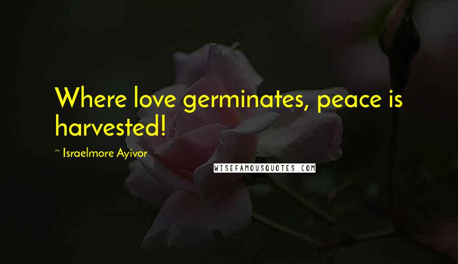 Israelmore Ayivor Quotes: Where love germinates, peace is harvested!