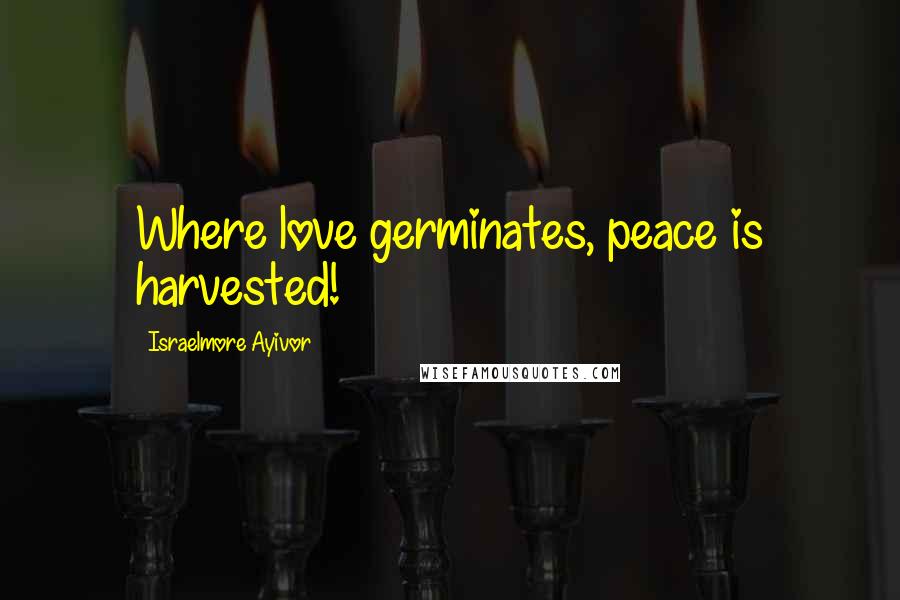 Israelmore Ayivor Quotes: Where love germinates, peace is harvested!