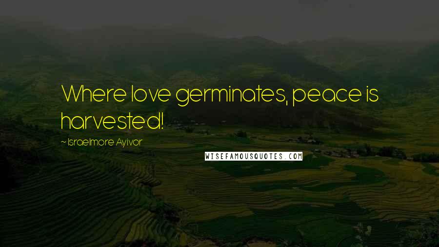 Israelmore Ayivor Quotes: Where love germinates, peace is harvested!