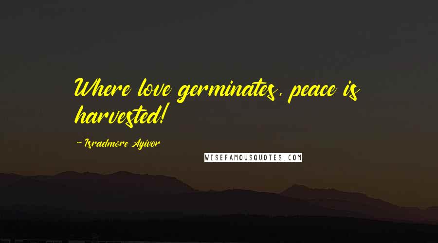 Israelmore Ayivor Quotes: Where love germinates, peace is harvested!