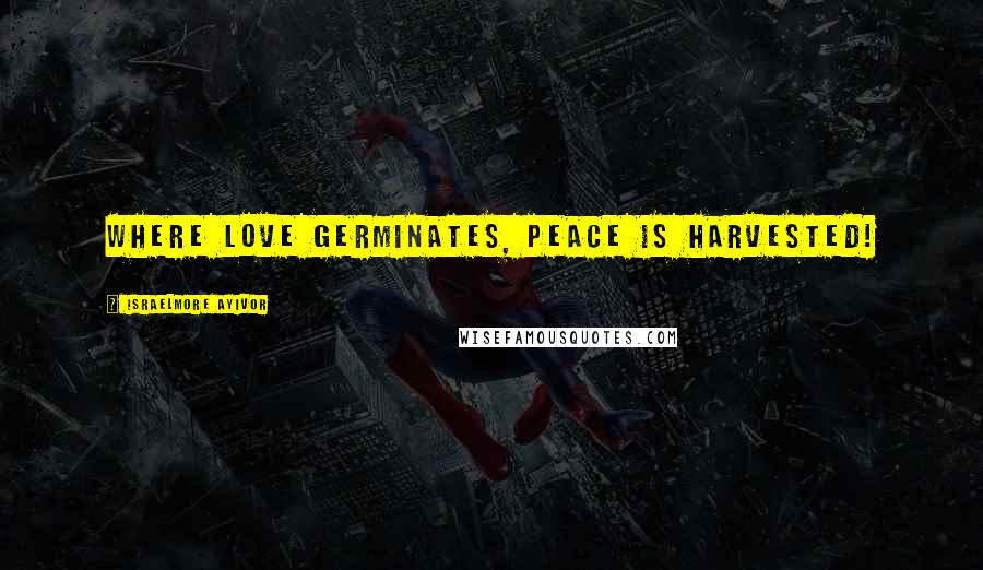 Israelmore Ayivor Quotes: Where love germinates, peace is harvested!