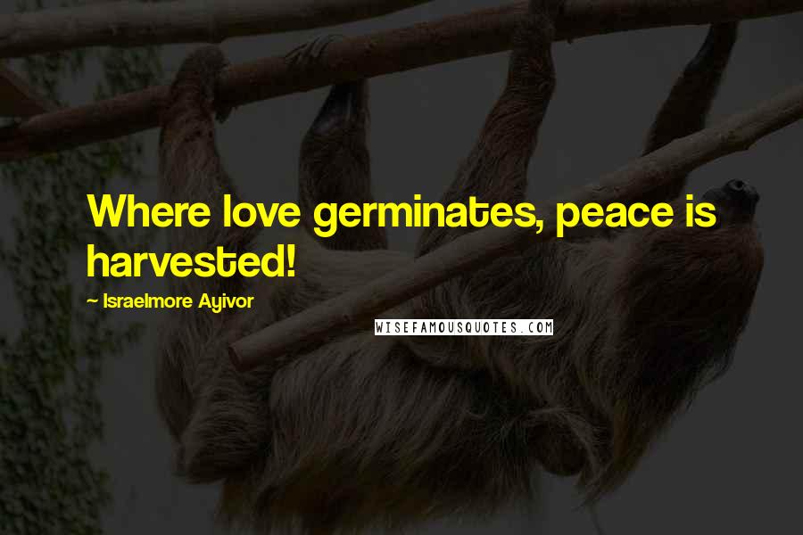 Israelmore Ayivor Quotes: Where love germinates, peace is harvested!