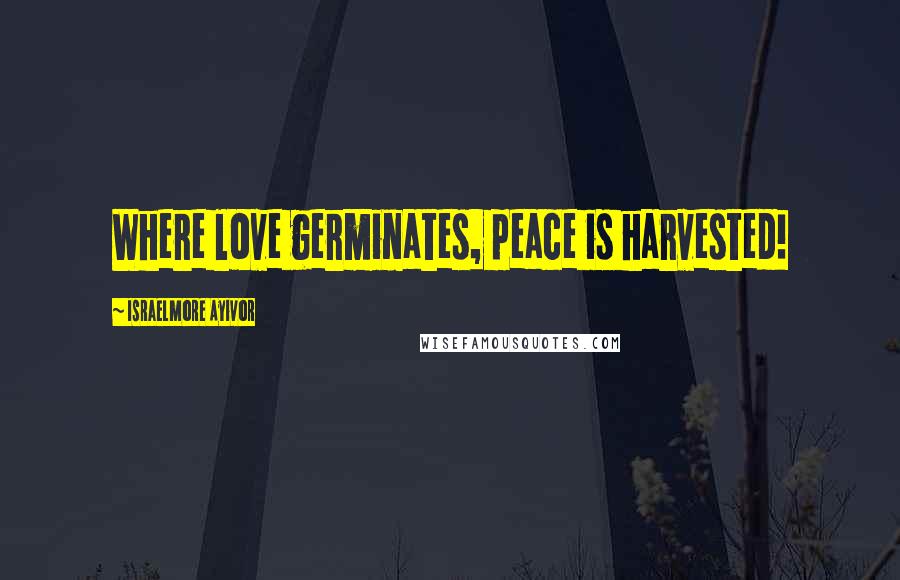 Israelmore Ayivor Quotes: Where love germinates, peace is harvested!