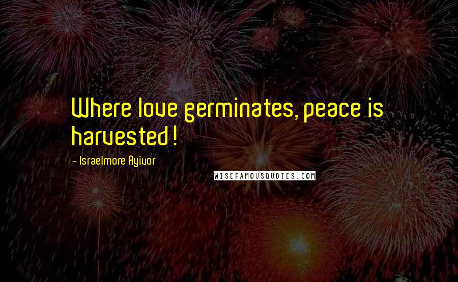 Israelmore Ayivor Quotes: Where love germinates, peace is harvested!