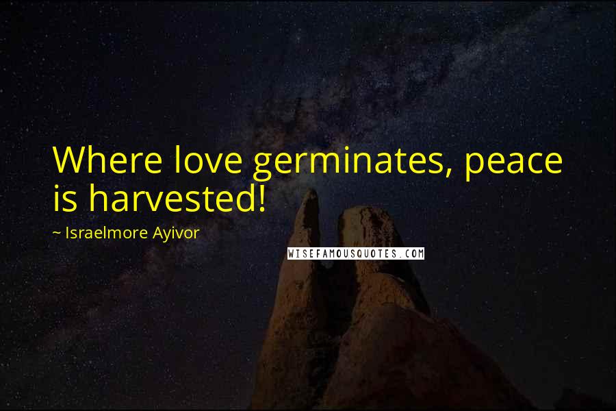 Israelmore Ayivor Quotes: Where love germinates, peace is harvested!