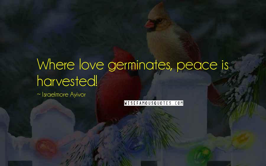 Israelmore Ayivor Quotes: Where love germinates, peace is harvested!
