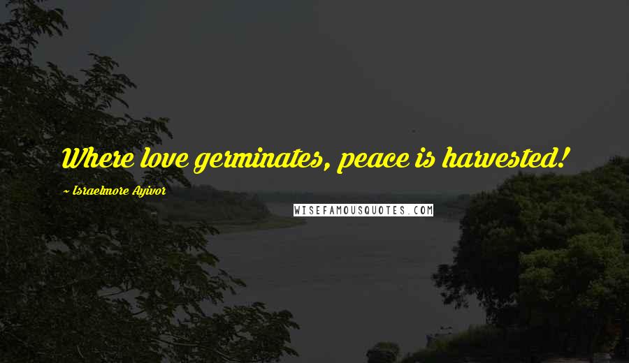 Israelmore Ayivor Quotes: Where love germinates, peace is harvested!