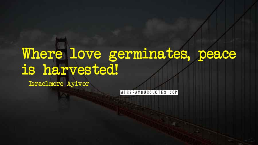 Israelmore Ayivor Quotes: Where love germinates, peace is harvested!