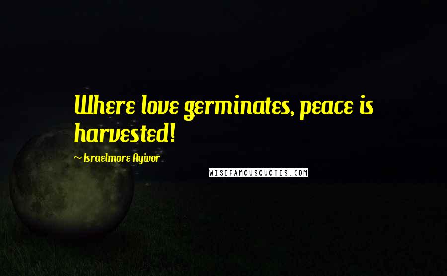 Israelmore Ayivor Quotes: Where love germinates, peace is harvested!