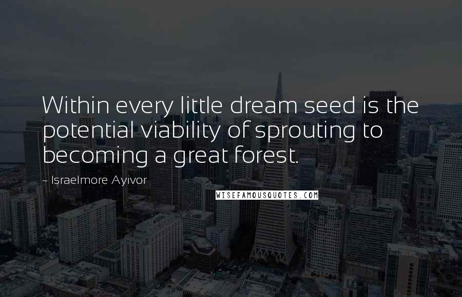 Israelmore Ayivor Quotes: Within every little dream seed is the potential viability of sprouting to becoming a great forest.