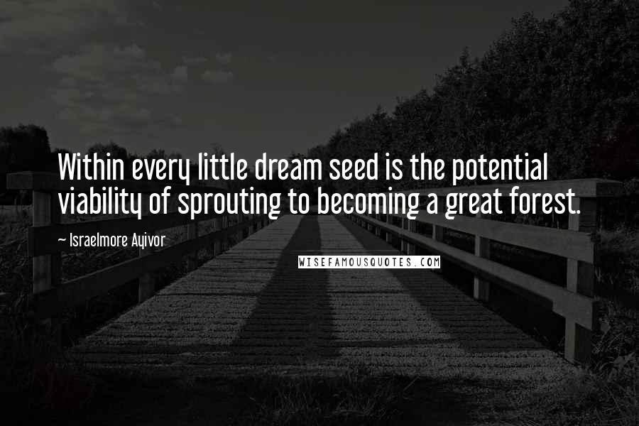 Israelmore Ayivor Quotes: Within every little dream seed is the potential viability of sprouting to becoming a great forest.