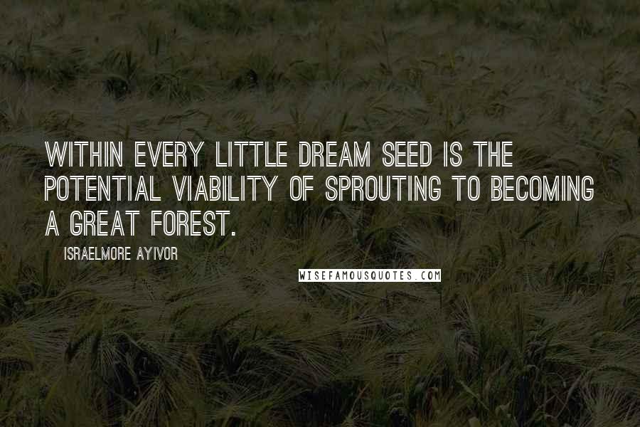 Israelmore Ayivor Quotes: Within every little dream seed is the potential viability of sprouting to becoming a great forest.