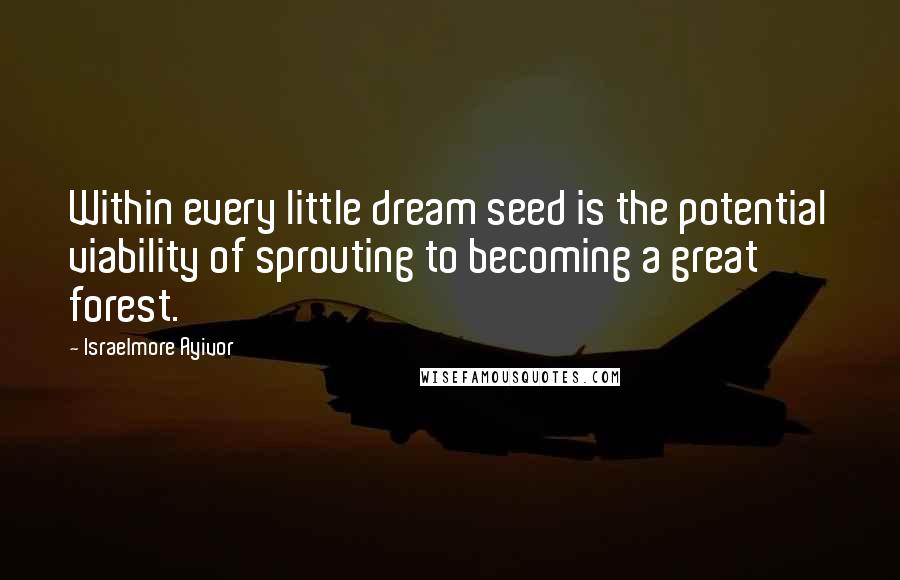 Israelmore Ayivor Quotes: Within every little dream seed is the potential viability of sprouting to becoming a great forest.