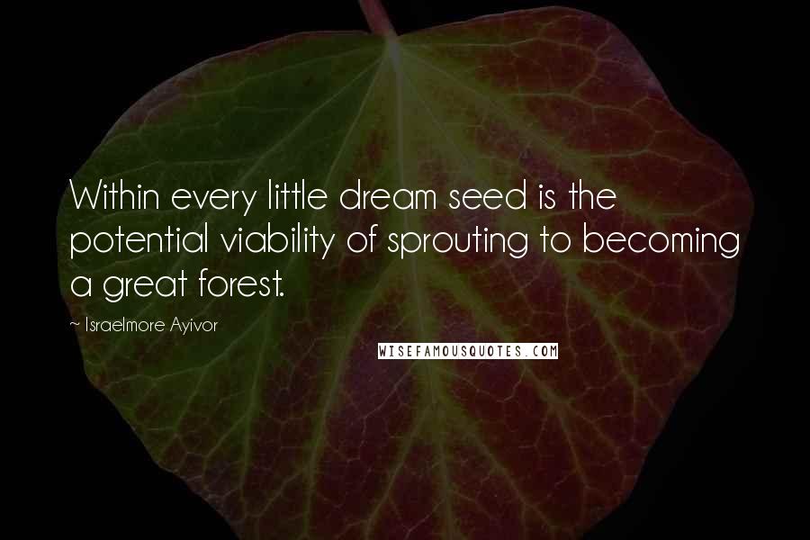 Israelmore Ayivor Quotes: Within every little dream seed is the potential viability of sprouting to becoming a great forest.