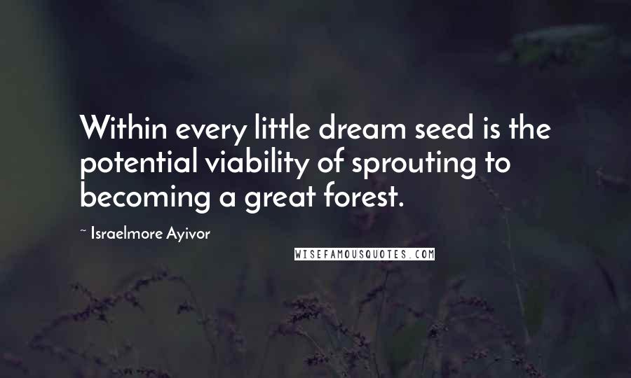 Israelmore Ayivor Quotes: Within every little dream seed is the potential viability of sprouting to becoming a great forest.