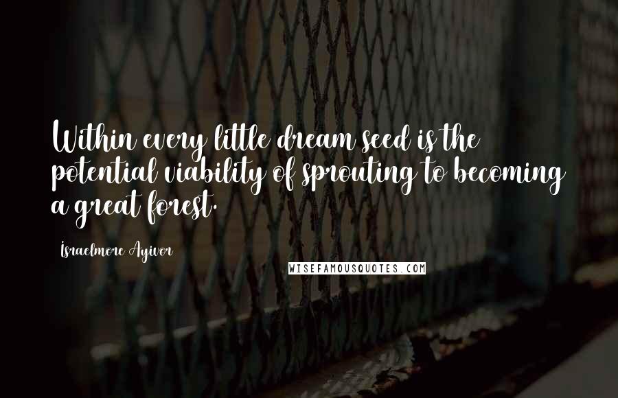 Israelmore Ayivor Quotes: Within every little dream seed is the potential viability of sprouting to becoming a great forest.