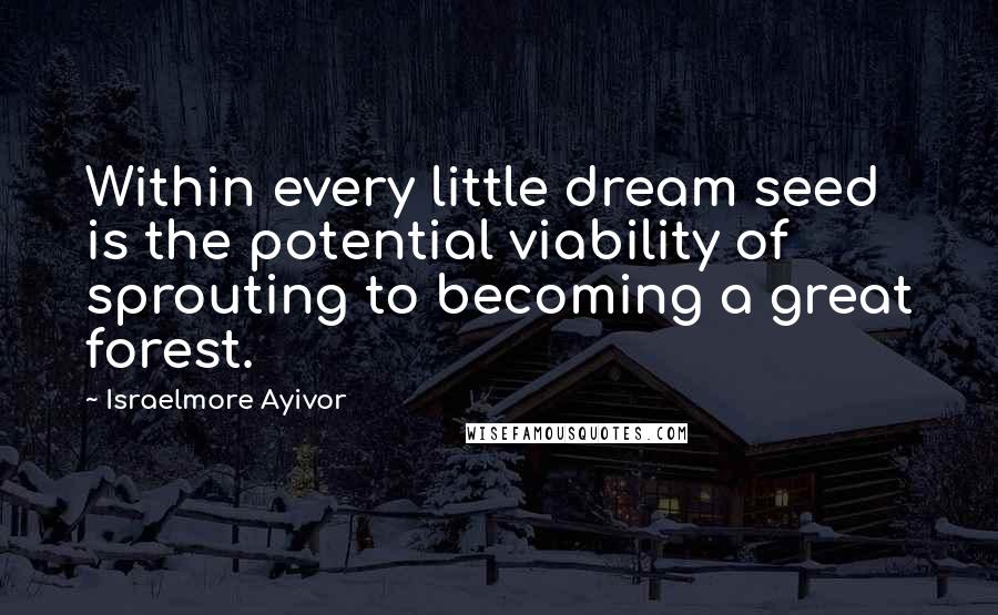 Israelmore Ayivor Quotes: Within every little dream seed is the potential viability of sprouting to becoming a great forest.