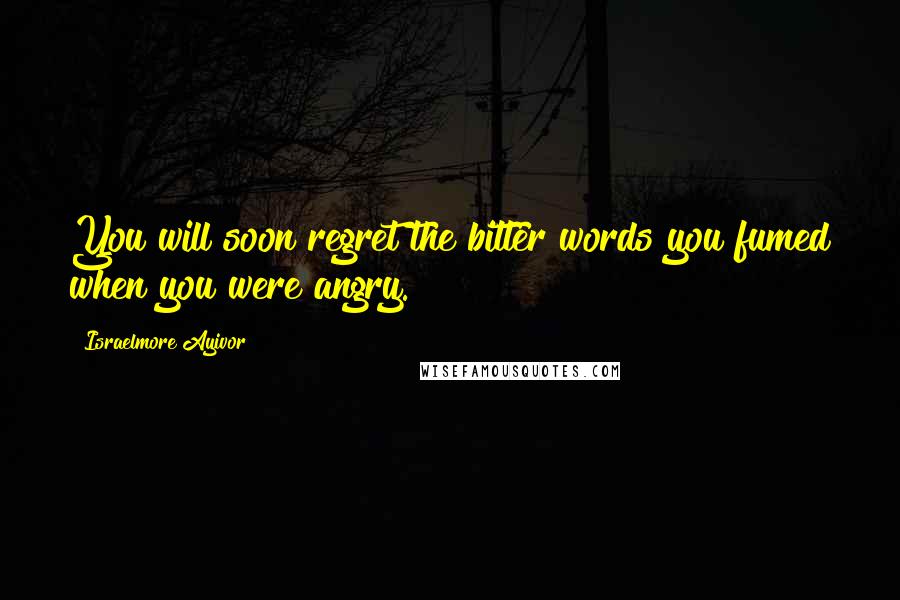 Israelmore Ayivor Quotes: You will soon regret the bitter words you fumed when you were angry.