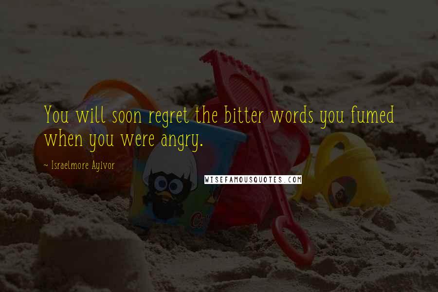 Israelmore Ayivor Quotes: You will soon regret the bitter words you fumed when you were angry.