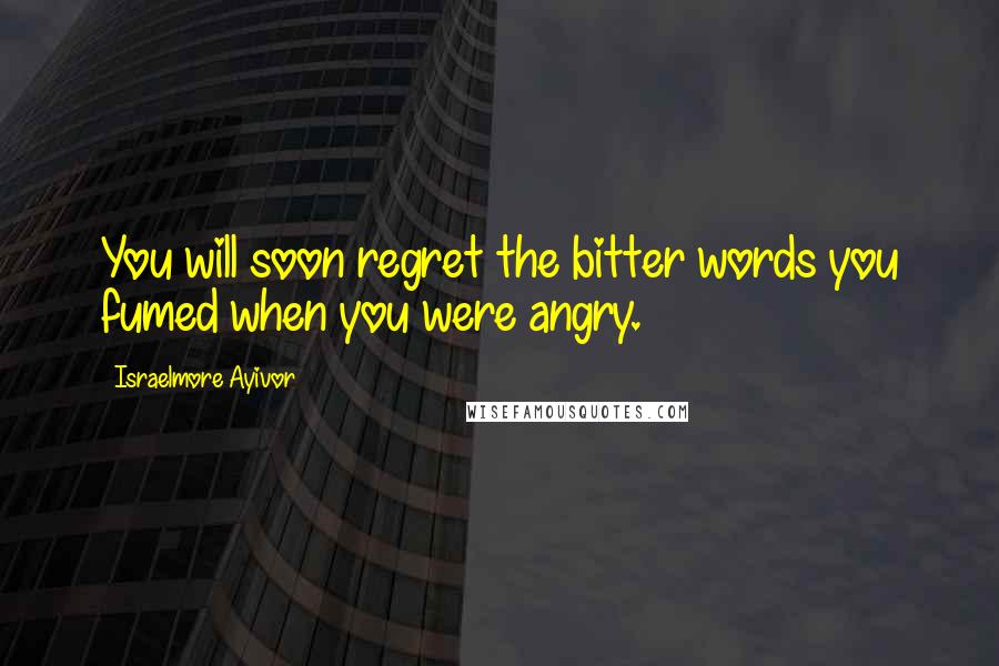 Israelmore Ayivor Quotes: You will soon regret the bitter words you fumed when you were angry.