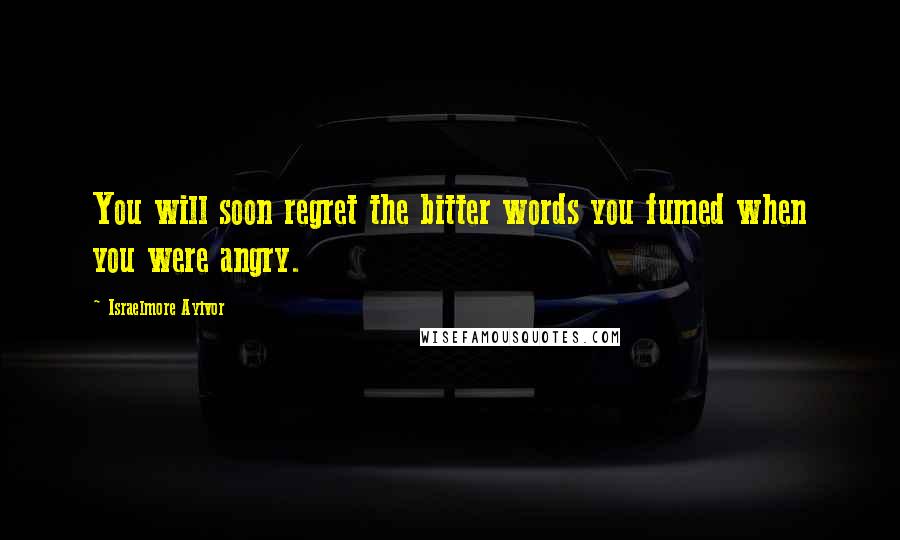 Israelmore Ayivor Quotes: You will soon regret the bitter words you fumed when you were angry.