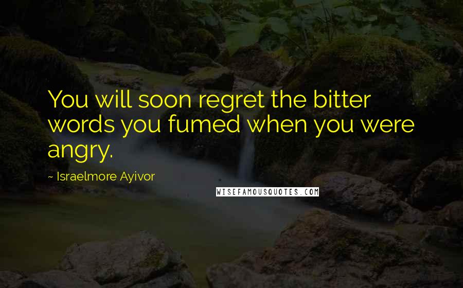 Israelmore Ayivor Quotes: You will soon regret the bitter words you fumed when you were angry.