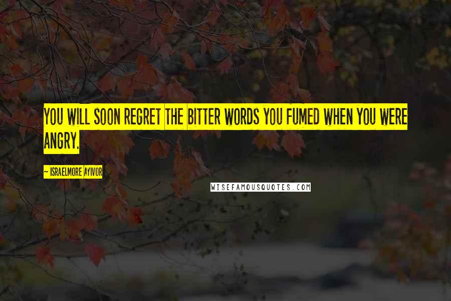 Israelmore Ayivor Quotes: You will soon regret the bitter words you fumed when you were angry.