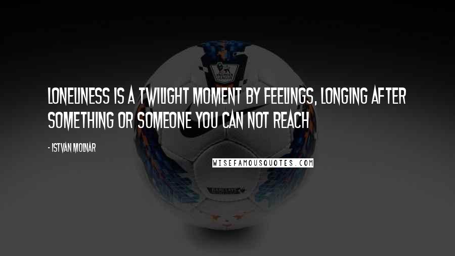 Istvan Molnar Quotes: Loneliness is a twilight moment by feelings, longing after something or someone you can not reach