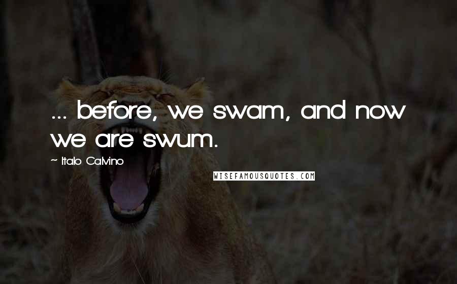 Italo Calvino Quotes: ... before, we swam, and now we are swum.