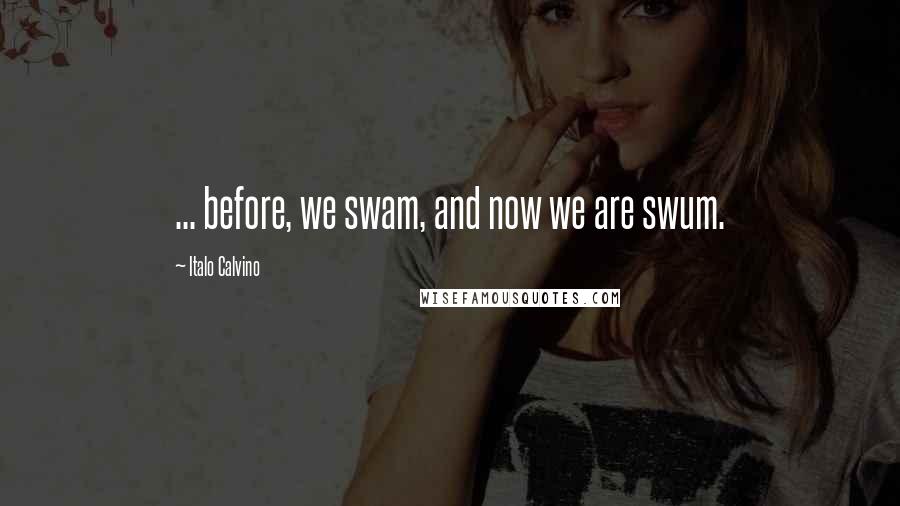 Italo Calvino Quotes: ... before, we swam, and now we are swum.